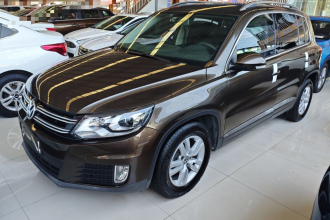 大众 途观 2016款 300TSI 自动两驱风尚版