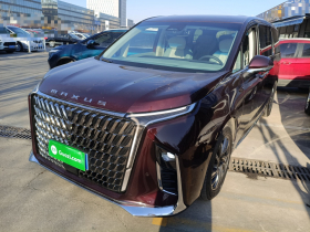 上汽大通MAXUS 大通G90 2023款 2.0T 星际六座版