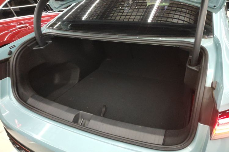 大众 帕萨特 2025款 Pro 380TSI 星空龙尊版局部细节23