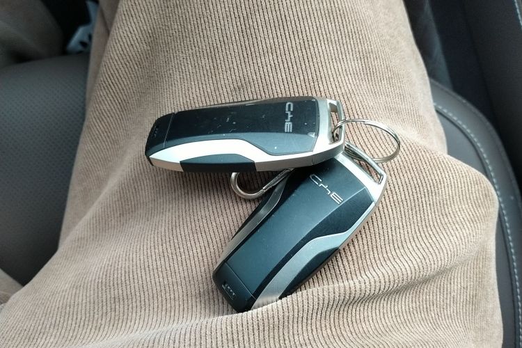 比亚迪 汉 2021款 EV 标准续航版豪华型中控内饰11