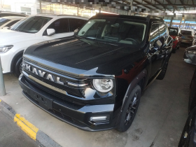 哈弗大狗 PLUS 2026款 2.0T 四驱潮野版