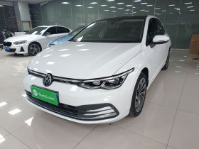 大众 高尔夫 2023款 280TSI DSG Pro