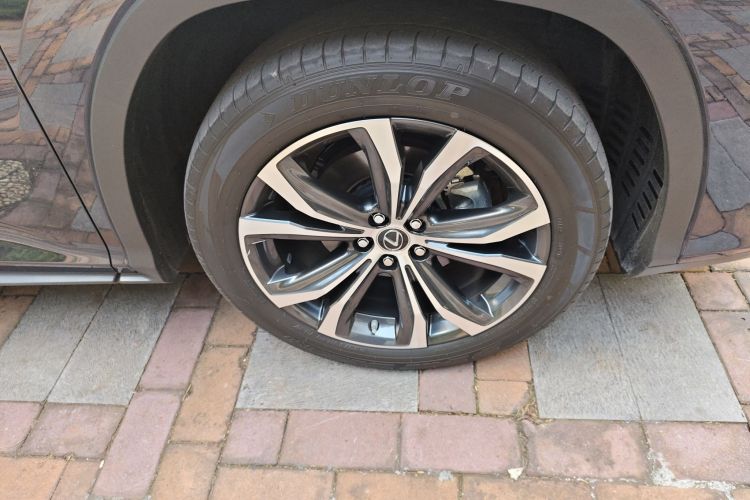 雷克萨斯RX 2020款 改款 300 四驱典雅版车身外观10