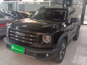 哈弗大狗 2021款 1.5T DCT两驱拉布拉多版