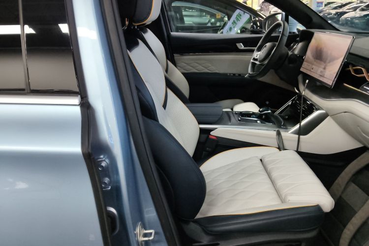 比亚迪 唐新能源 2024款 DM-p 冠军版 215KM 四驱旗舰型局部细节41