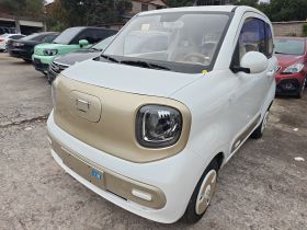 奔腾小马 2026款 222km 闪耀马