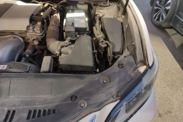 雷克萨斯ES 2018款 200 卓越版 国V局部细节9007