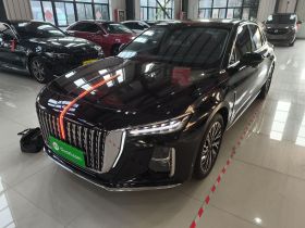 红旗H5 2024款 2.0T 自动智联旗畅版