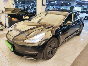 特斯拉 Model 3(进口) 2019款 长续航后驱版