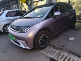 比亚迪 海豚 2021款 405km 时尚版