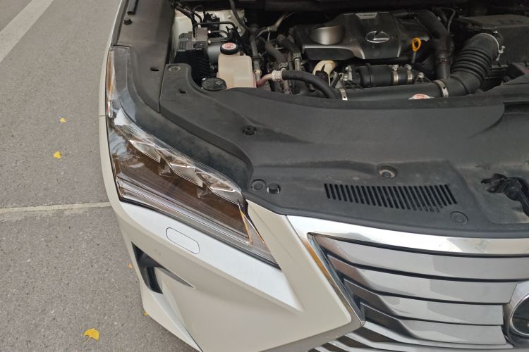 雷克萨斯RX 2016款 300 四驱典雅版 国V局部细节9006