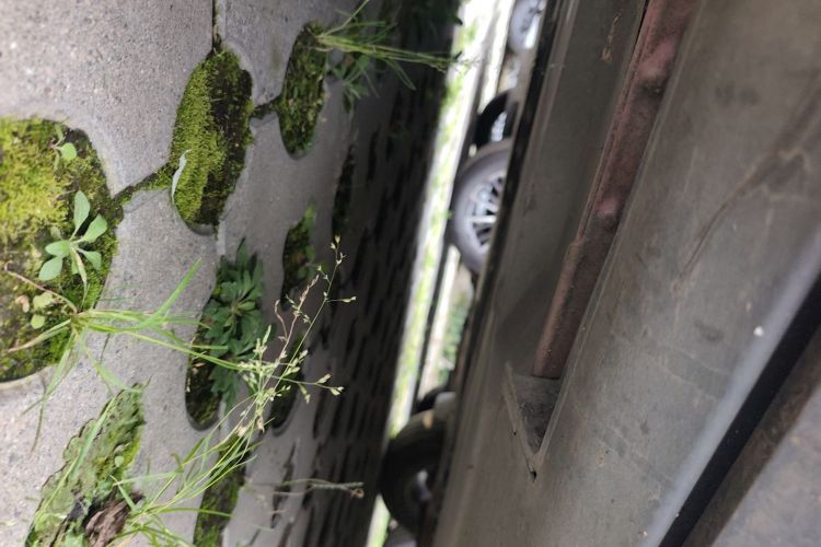 马自达CX-4 2016款 2.0L 自动两驱蓝天活力版局部细节9004