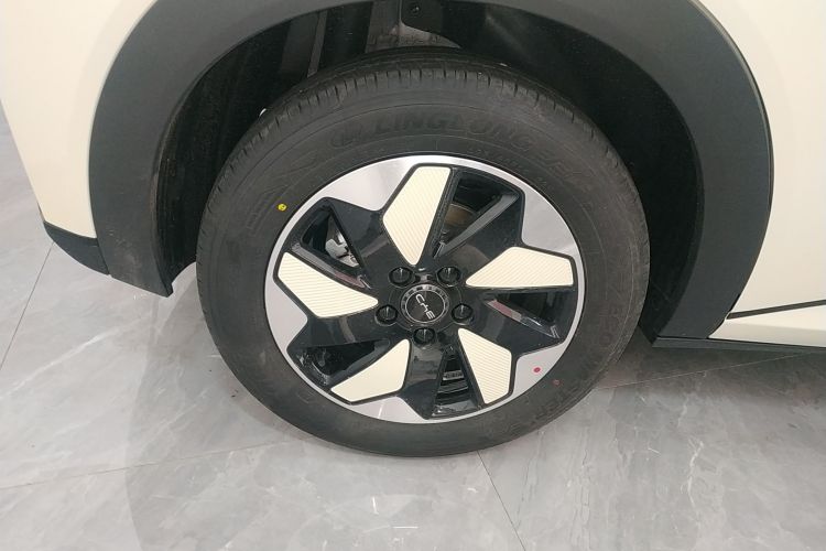 比亚迪 海豚 2025款 420km 自由版车身外观6008