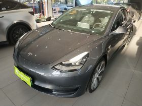 特斯拉 Model 3(进口) 2019款 Performance高性能全轮驱动版