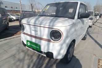 吉利银河 2024款 熊猫mini 200km 耐力熊