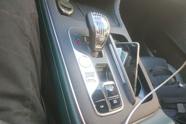 广汽传祺 传祺GS8 2022款 领航系列 2.0TGDI 两驱豪华智联版（七座）中控内饰18