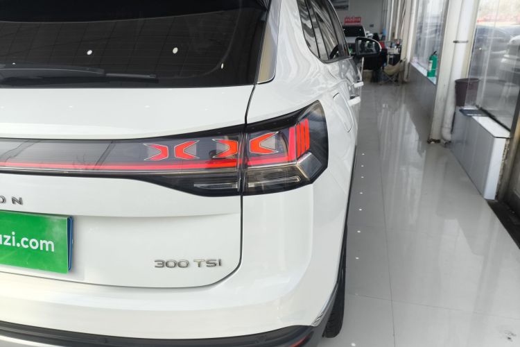 大众 探岳 2023款 300TSI 两驱豪华Plus进阶版车身外观6005