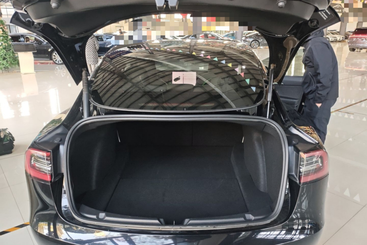 特斯拉 Model 3 2021款 Performance高性能全轮驱动版机舱底盘23