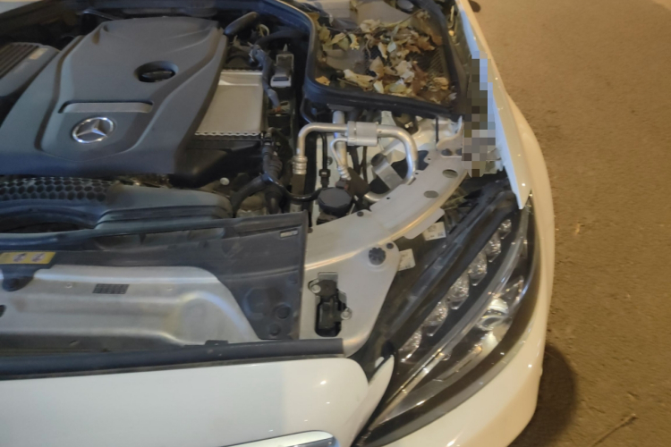 奔驰C级 2018款 C 200 L 运动版局部细节9007