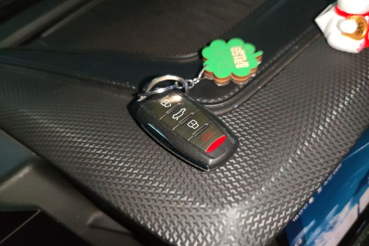 哈弗大狗 2021款 1.5T DCT两驱拉布拉多版中控内饰7001