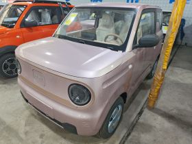 吉利银河 2024款 熊猫mini 200km 耐力熊