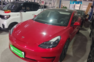 特斯拉 Model 3 2021款 标准续航后驱升级版