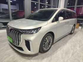 岚图汽车 岚图梦想家 2022款 低碳版 梦+智享包