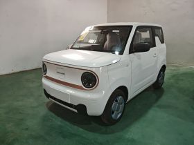 吉利银河 2024款 熊猫mini 200km 耐力熊