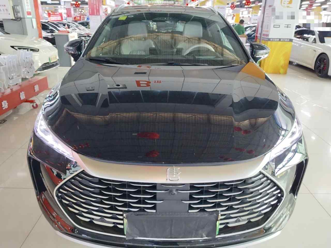 比亚迪 唐新能源 2025款 智驾版 DM-i 115KM 旗舰型(1)