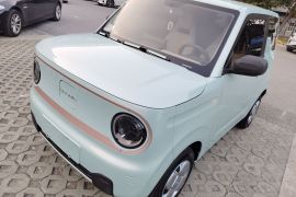 吉利银河 2024款 熊猫mini 200km 耐力熊