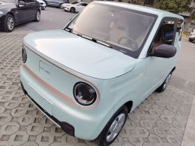 吉利银河 2024款 熊猫mini 200km 耐力熊