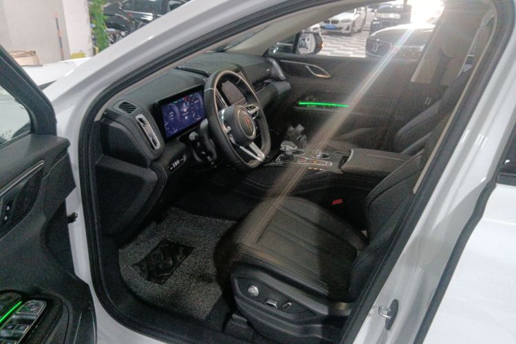 红旗HS3 2024款 1.5T 善为版局部细节19