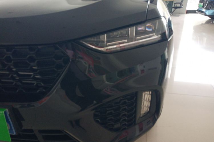 魏牌 VV7 2019款 升级款 2.0T 旗舰型 国VI局部细节36