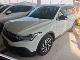 大众 途观L 2024款 300TSI 自动两驱智享版