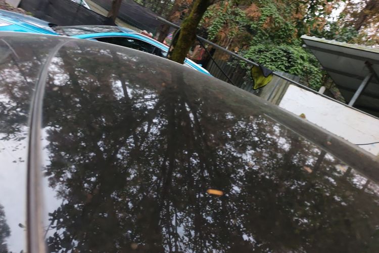 比亚迪 海豚 2021款 405km 时尚版局部细节57