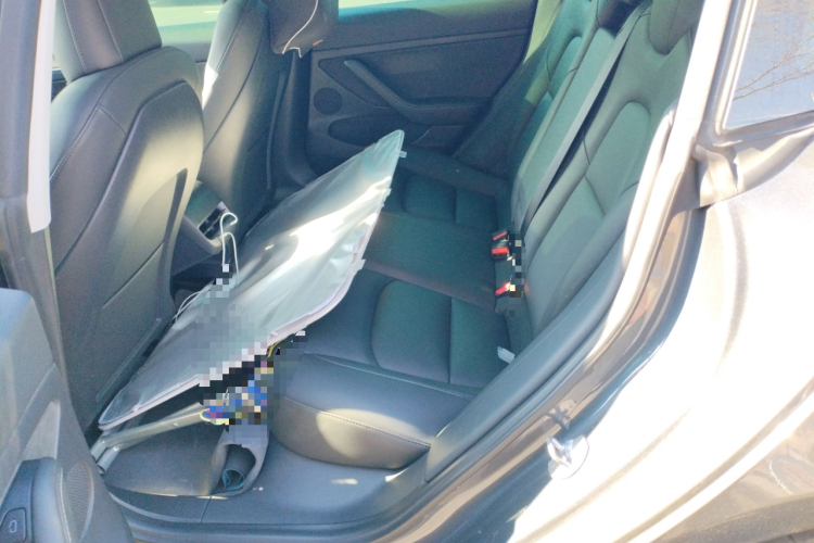 特斯拉 Model 3 2021款 标准续航后驱升级版中控内饰7004