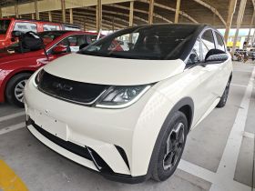 比亚迪 海豚 2021款 405km 时尚版