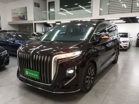 红旗HQ9 2023款 2.0T 智联旗韵版