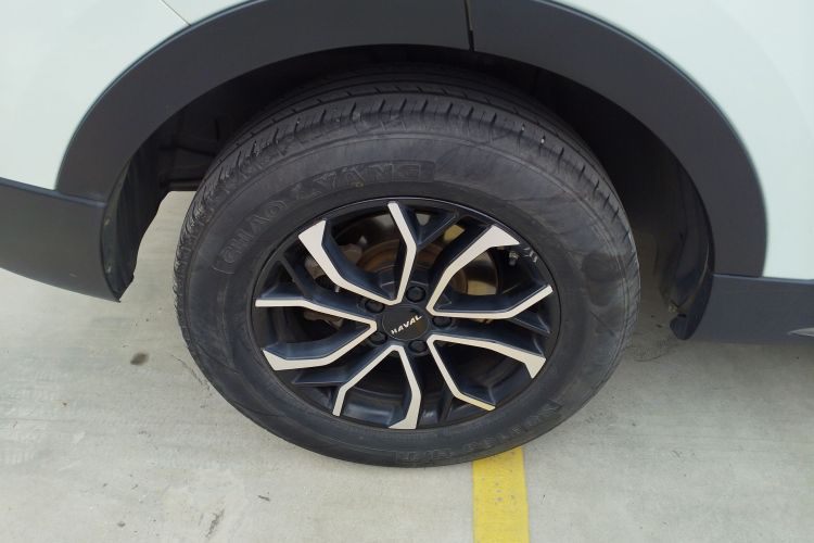 哈弗H6 2021款 国潮版 1.5T 自动都市版车身外观6003