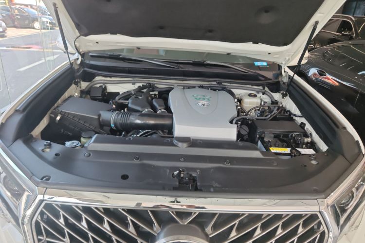 丰田 普拉多 2019款 3.5L 自动TX-L尊享版后挂备胎局部细节24