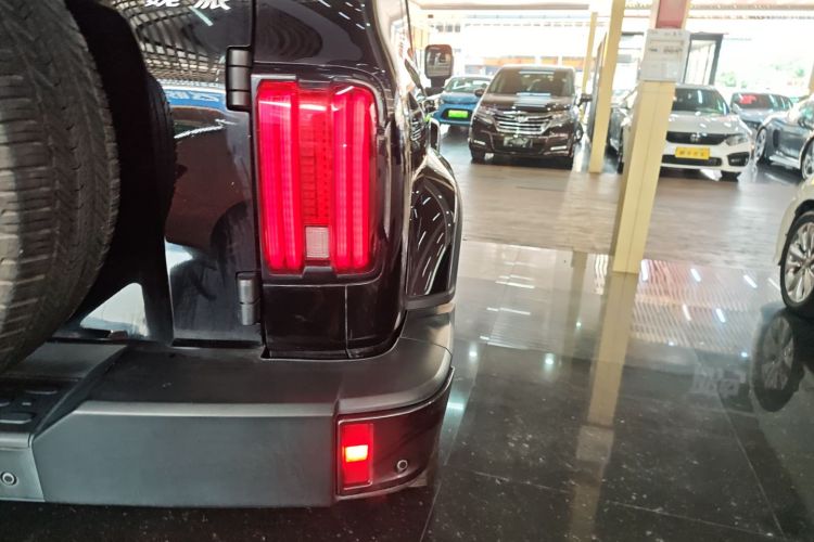 坦克300 2021款 城市版 2.0T 很有型车身外观6006