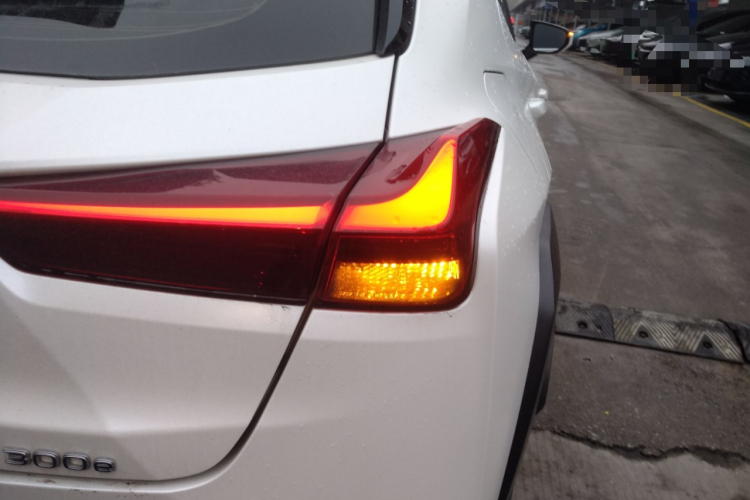 雷克萨斯UX新能源 2020款 300e 纯·悦版车身外观6006