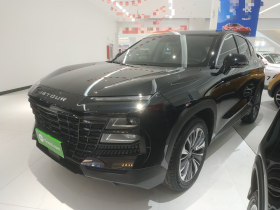 捷途大圣 2022款 1.6T DCT王者PRO