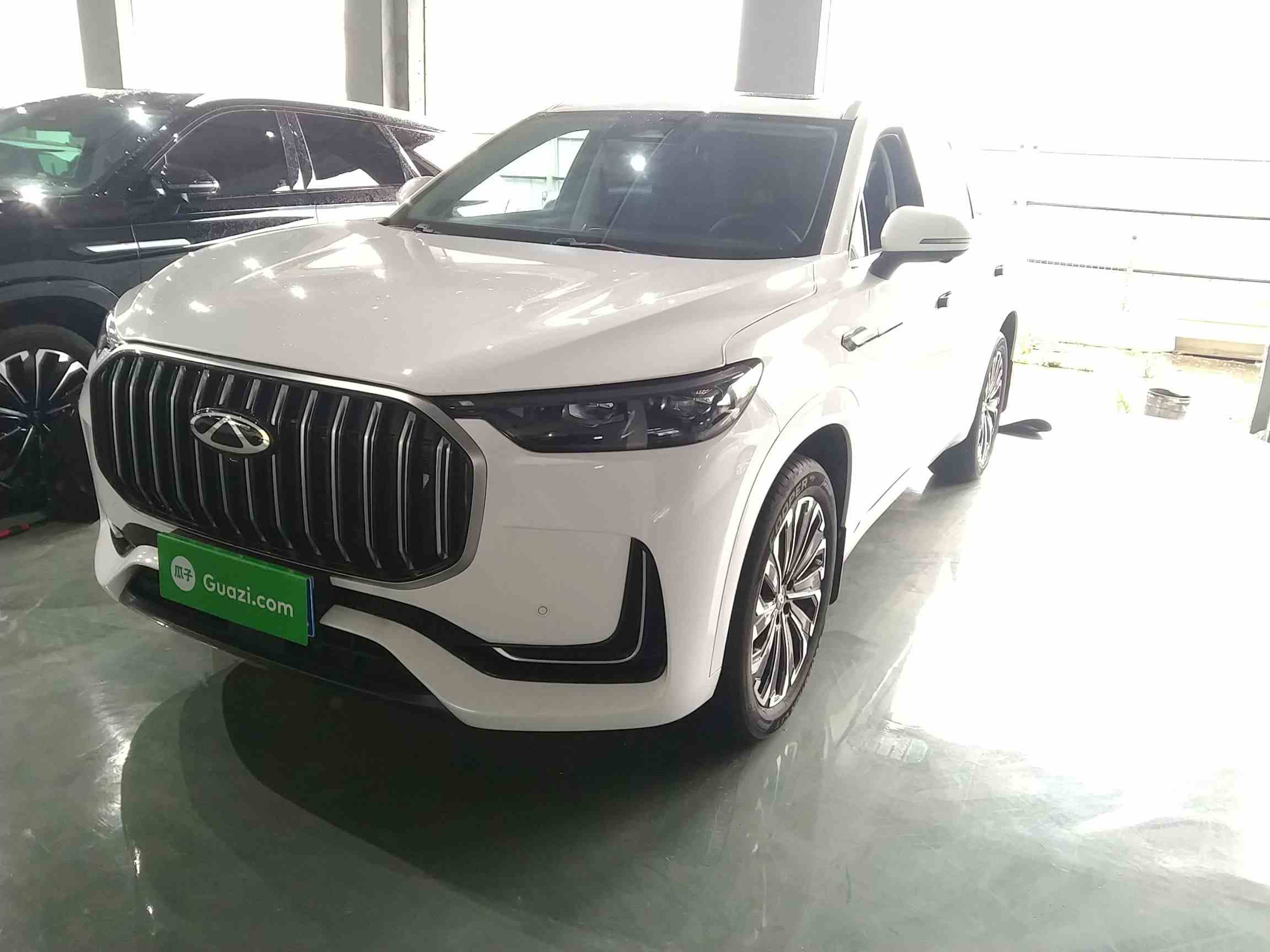 奇瑞 瑞虎9 2023款 改款 2.0T 双离合两驱豪华版 5座(2)