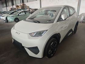 比亚迪 海鸥 2025款 智驾版 405km 自在版