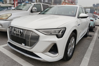 奥迪e-tron 2021款 50 quattro 豪华型