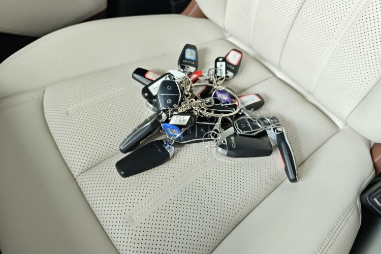 比亚迪 夏 2025款 DM-i 1.5T 180km 卓越型中控内饰11