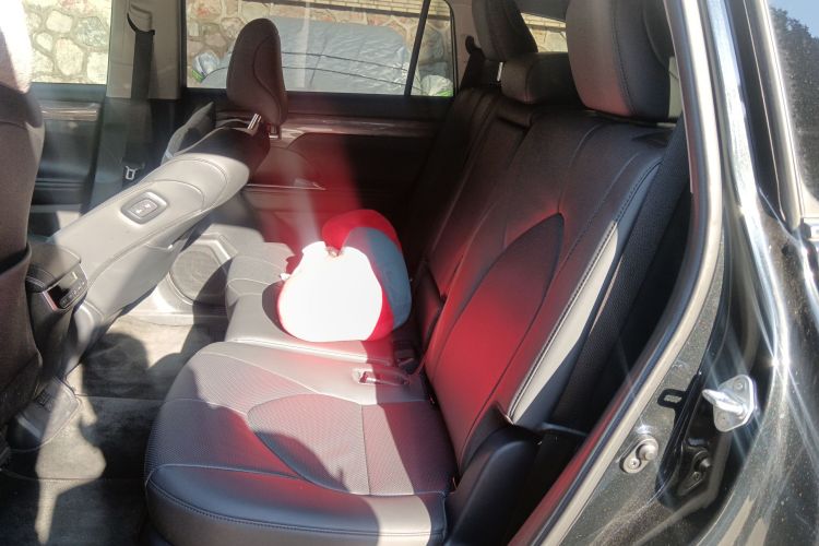 丰田 汉兰达 2024款 2.5L智能电混双擎四驱尊贵版 7座中控内饰21