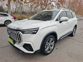 吉利汽车 豪越L 2024款 2.0T DCT尊贵型