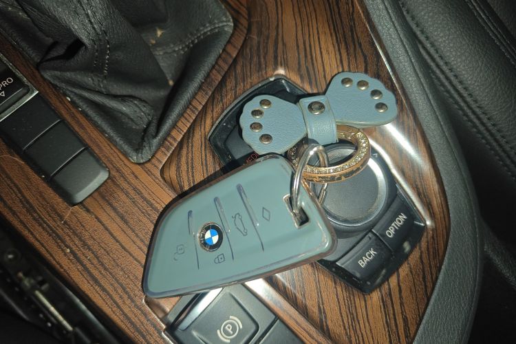 宝马X1 2019款 sDrive20Li 领先型中控内饰11